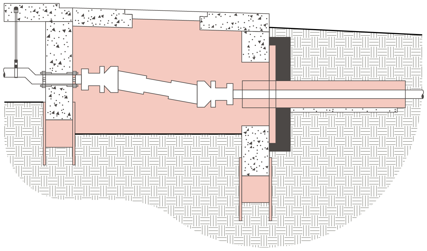 Mudskipper detail with components