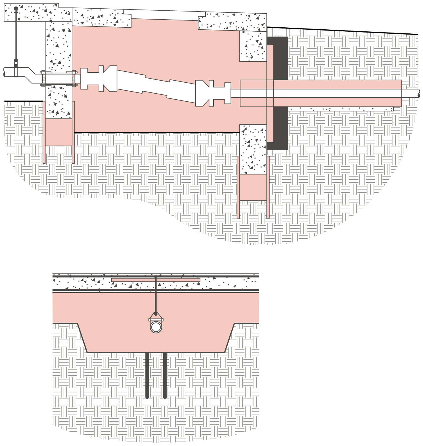 Mudskipper detail with components