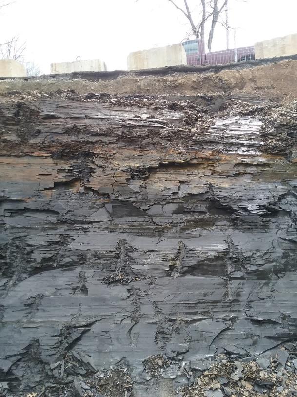 Building on Pyritic Shale: Pre-Construction Solutions
