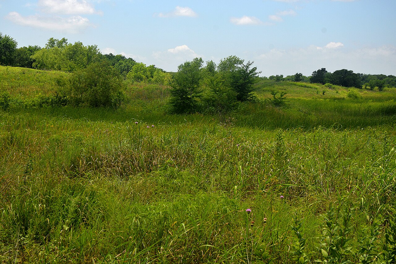Blackland Prairie Soil: Solutions for Texas’ Most Reactive Soil